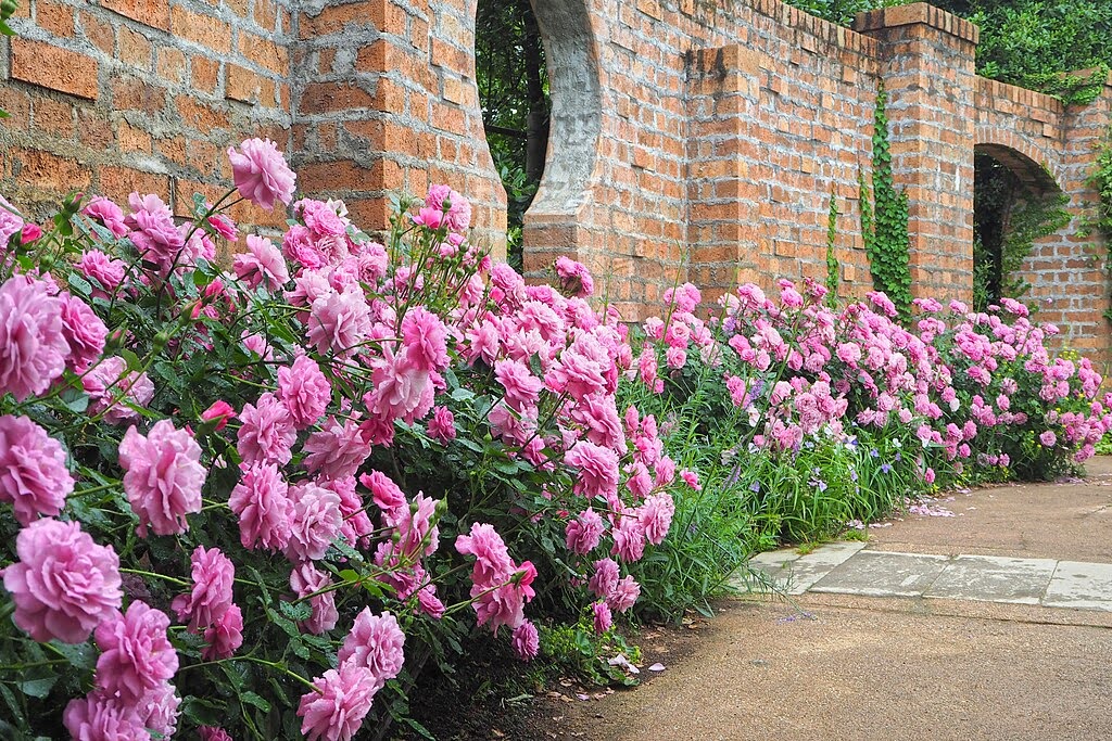 같은 향수지만 다르게 느껴지는 이유