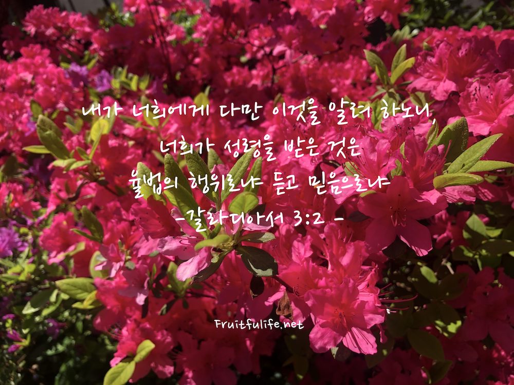 무엇으로 성령을 받는가?