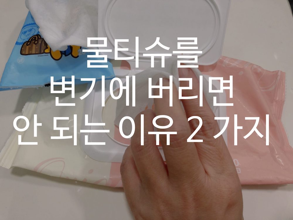 물티슈를 변기에 버리면 안 되는 이유
