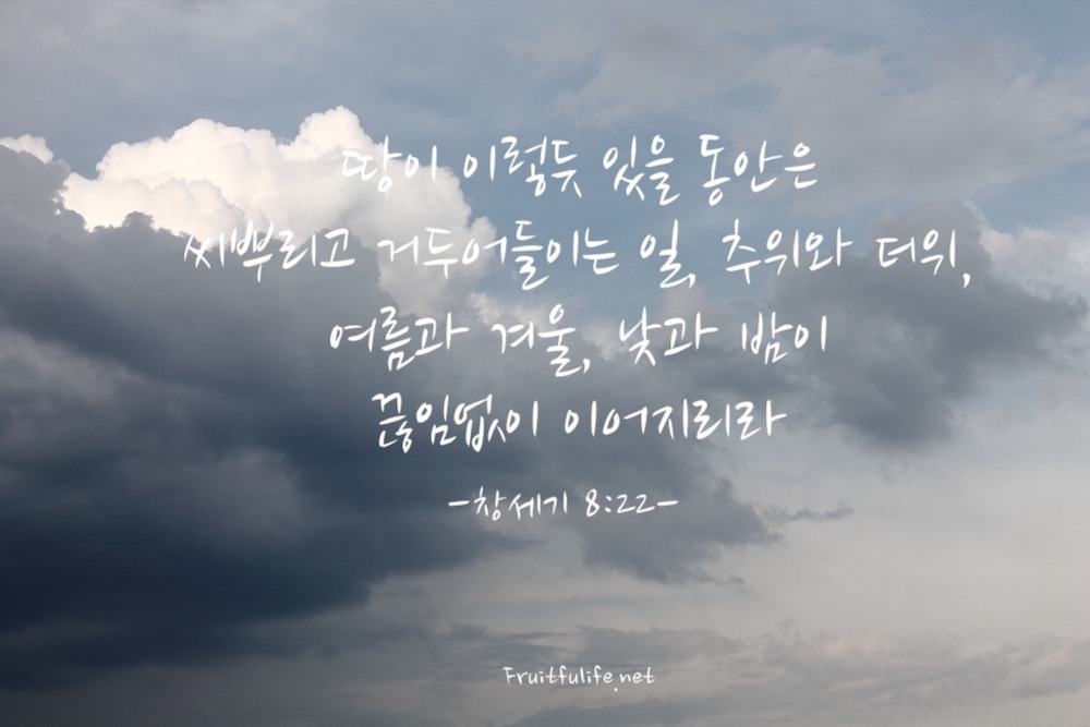 창세기 8장 홍수가 끝나고