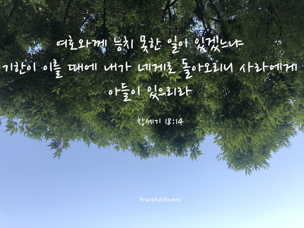 아들을 약속받은 아브라함
