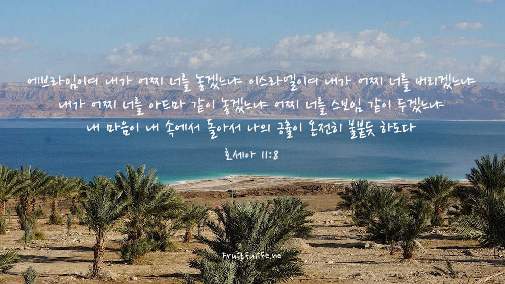 하나님의 놀라운 계획