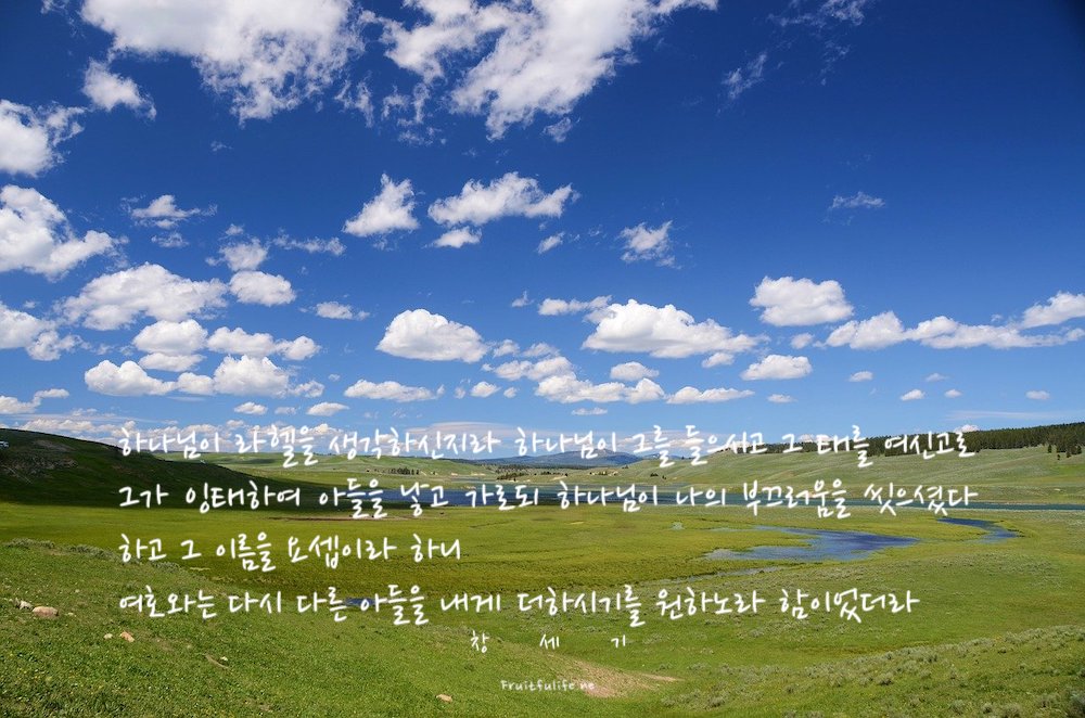 창세기 30장 11번째 아들로 태어난 요셉