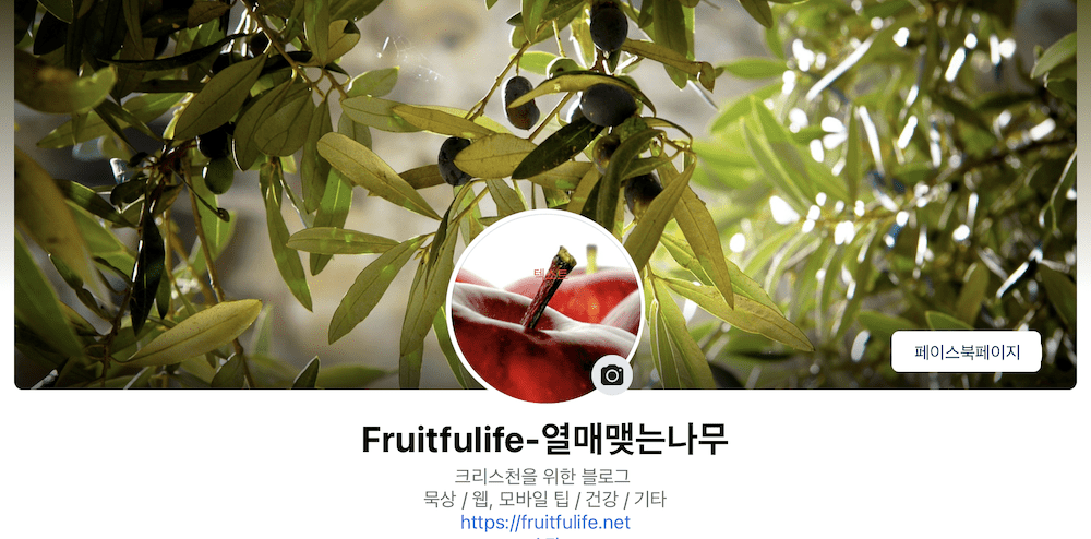 젯팩 페이스북 페이지 위젯 오류