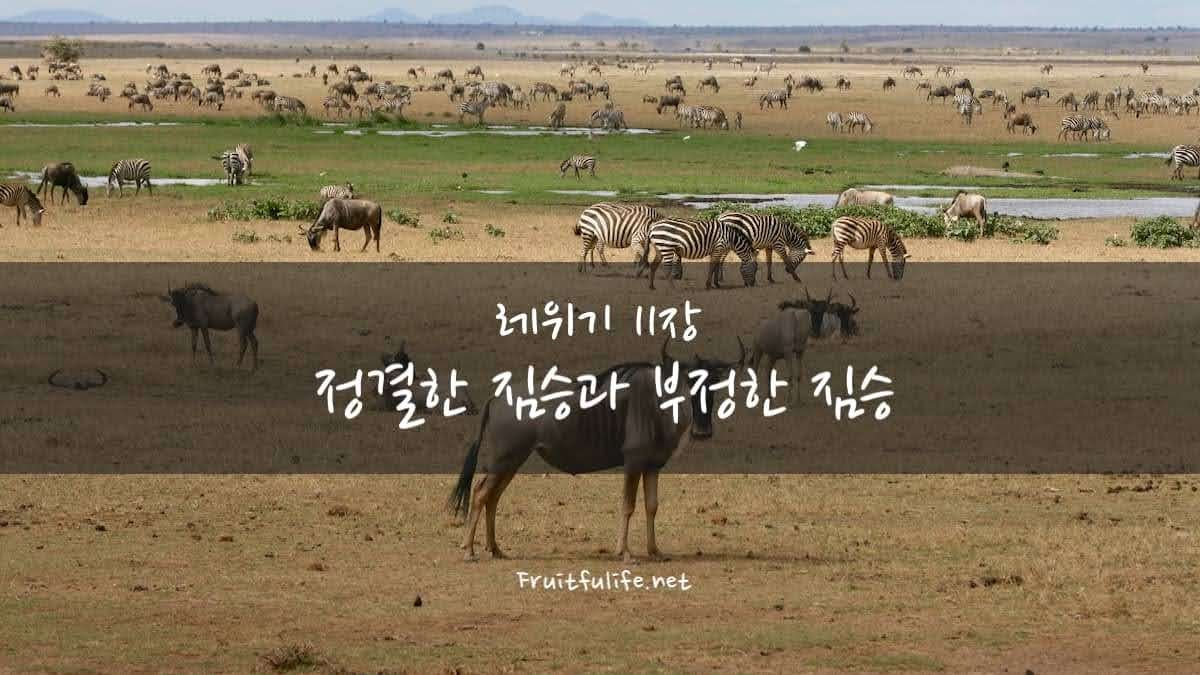 레위기 11장 정결한 짐승과 부정한 짐승