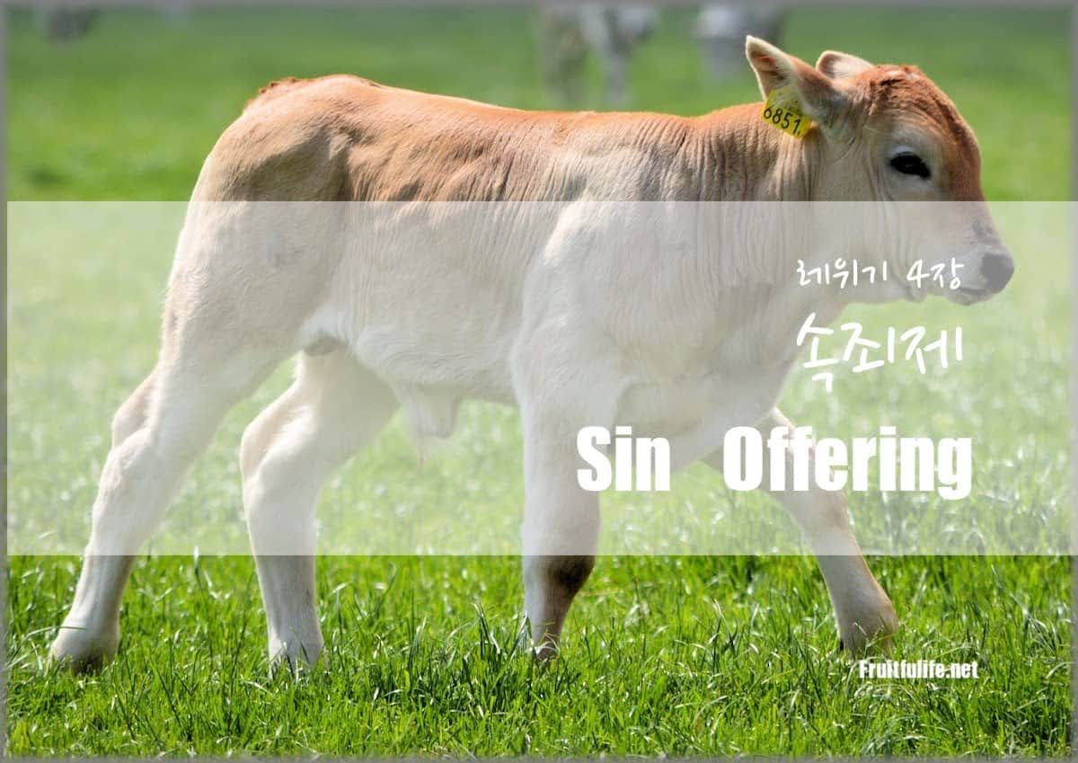  레위기 4장 속죄제
