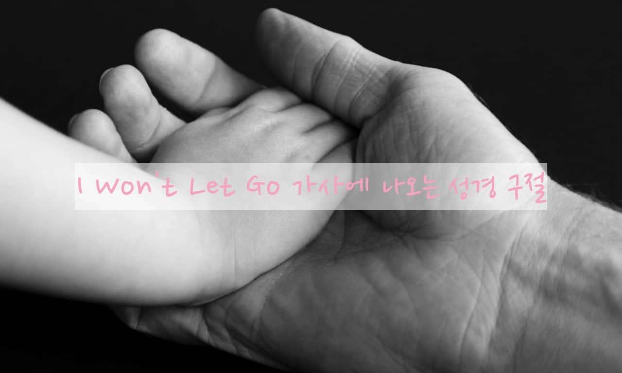 I Won't Let Go 가사에 나오는 성경 구절