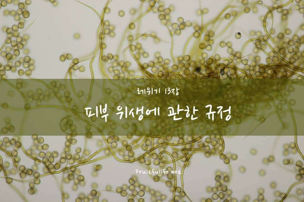 레위기 13 피부 위생에 관한 규정