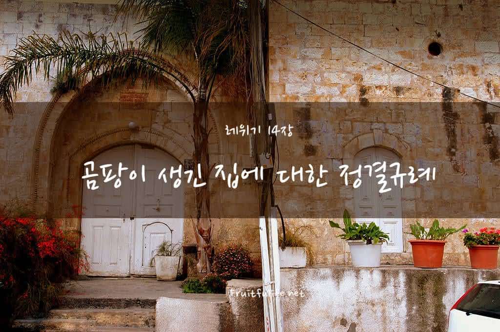 레위기 14장 곰팡이 생긴 집에 대한 정결규례