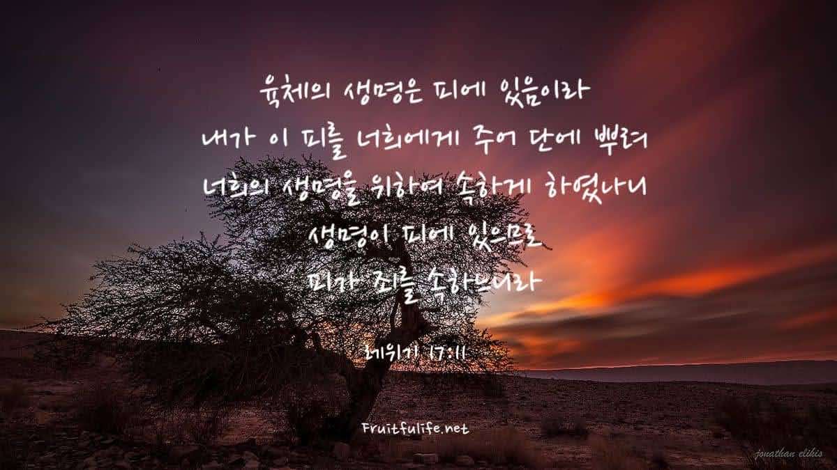레위기 17장 피에 대한 규례