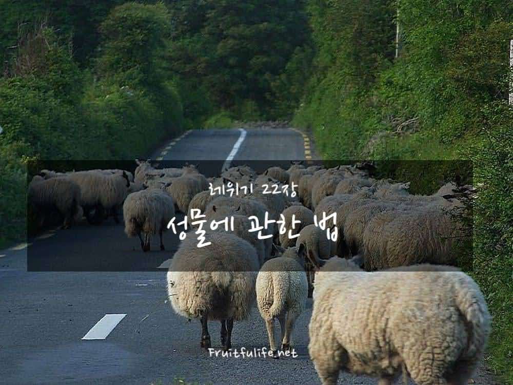 레위기 22장 성물에 관한 법