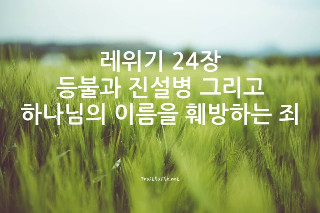 레위기 24장 등불과 진설병 그리고 하나님의 이름을 훼방하는 죄