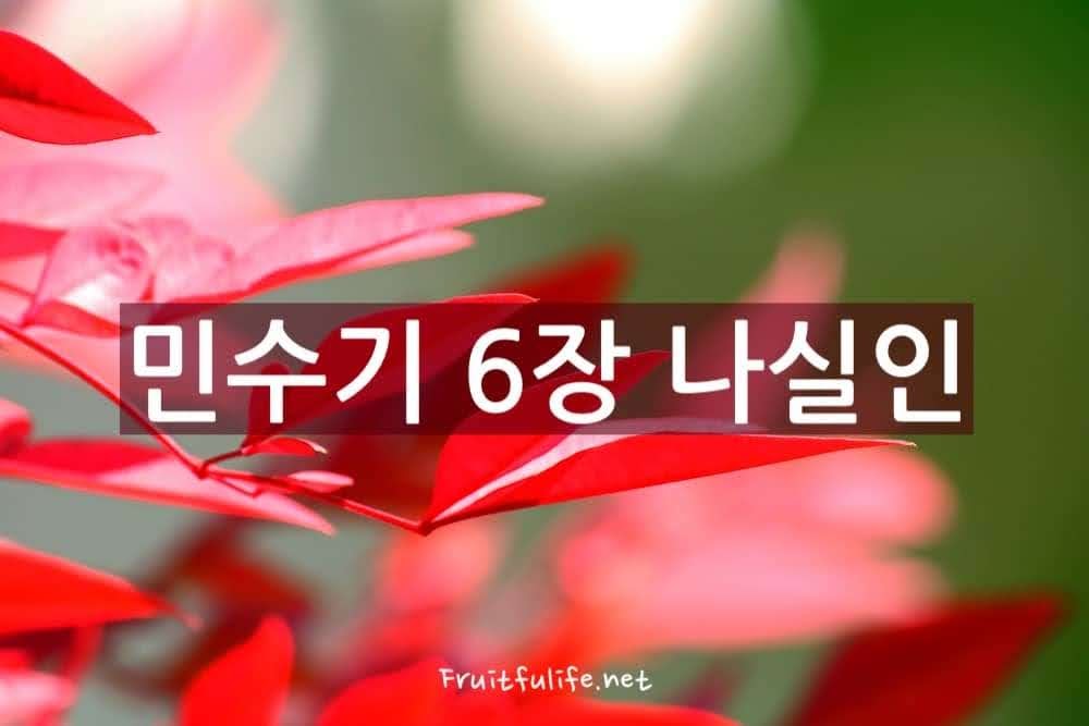 민수기 6장 나실인 & 제사장의 축복문