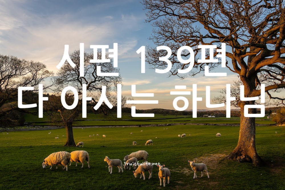 시편 139편 다 아시는 하나님