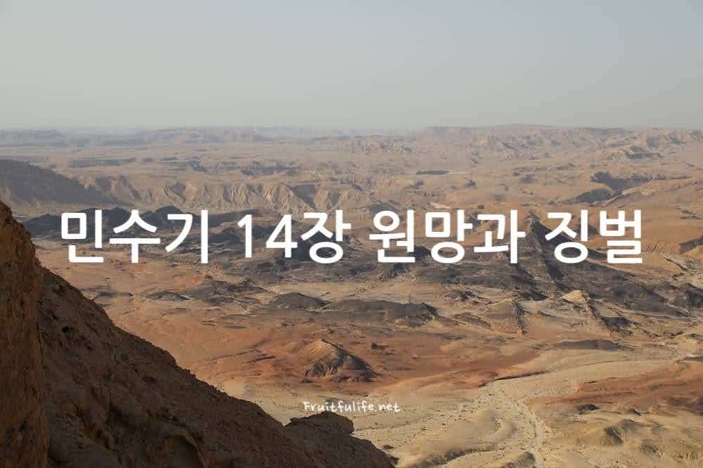민수기 14장 원망과 징벌 가나안 남쪽 네게브 사막