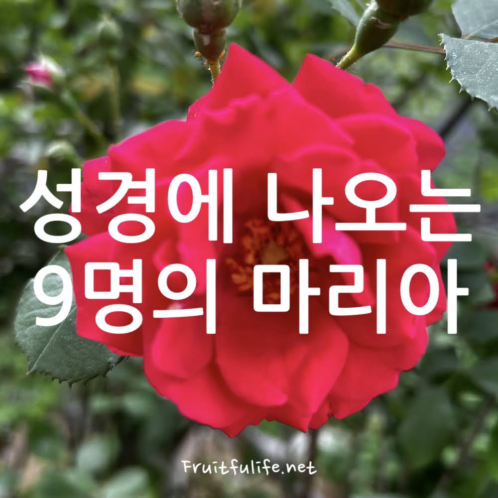성경에 나오는 9명의 마리아