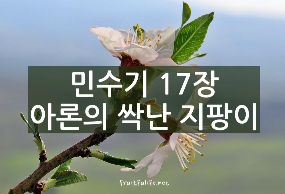 민수기 17장 아론의 싹난 지팡이