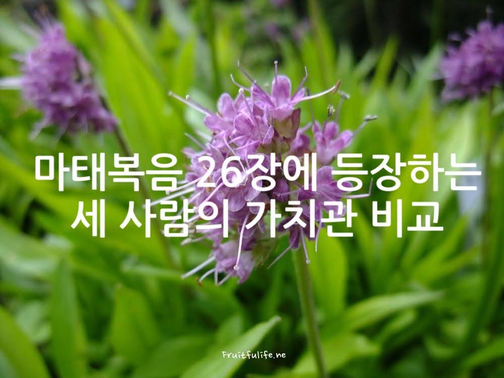 마태복음 26장에 등장하는 세 사람의 가치관 비교