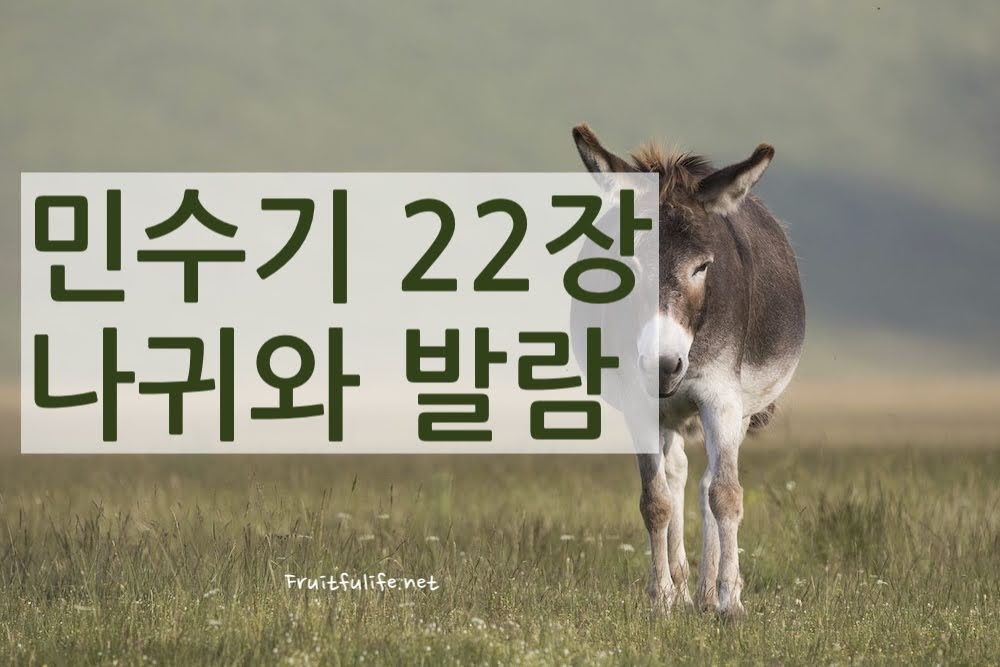 민수기 22장 나귀와 발람