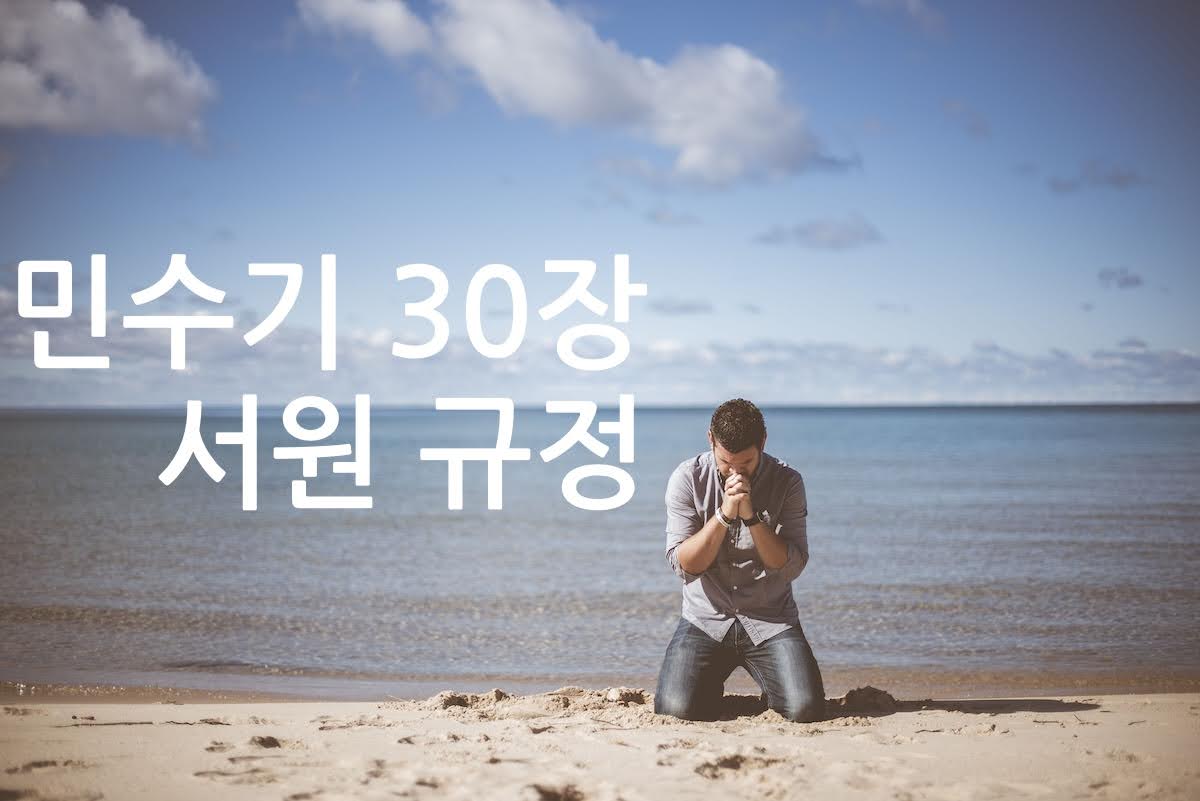 민수기 30장 서원 규정