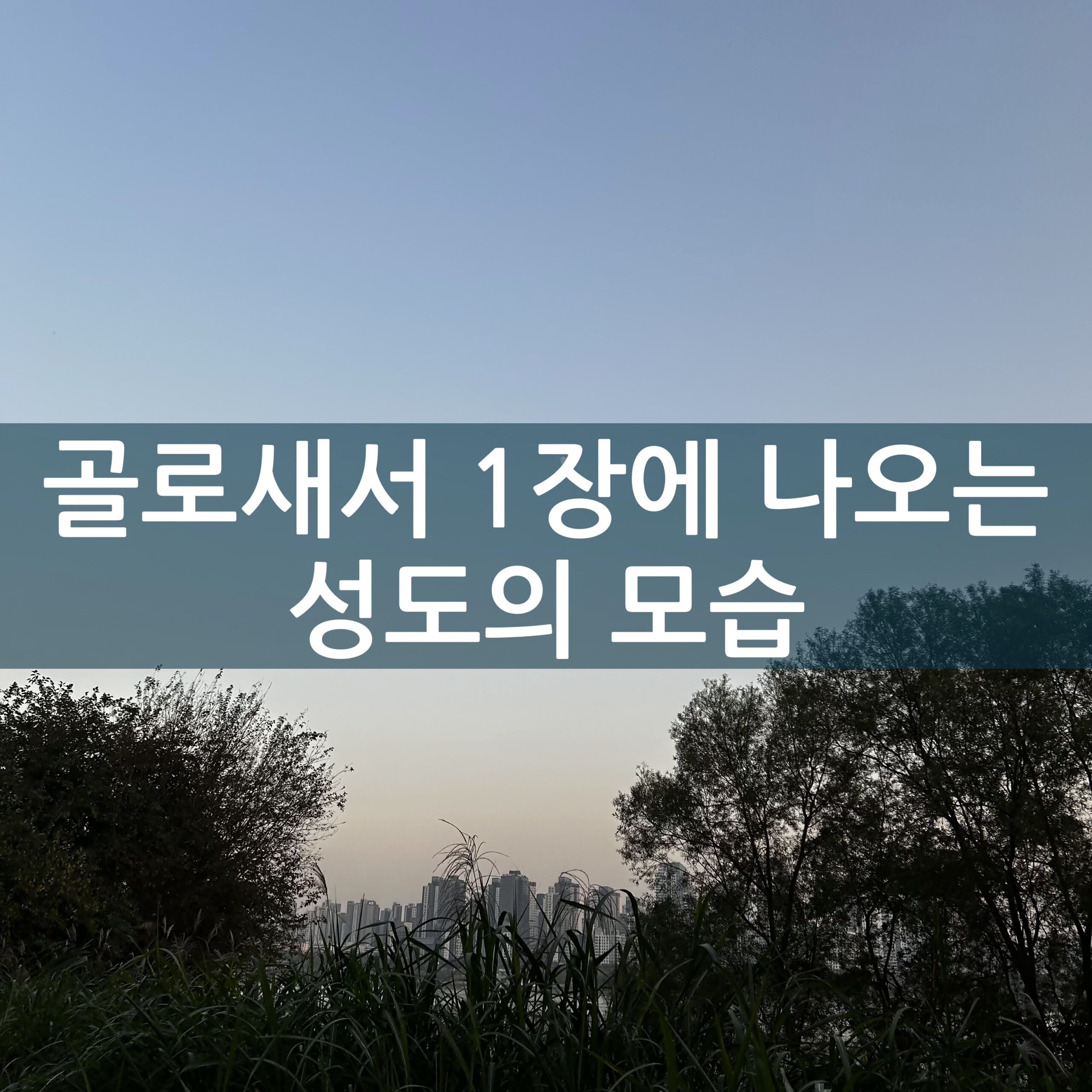 골로새서 1장에 나오는 성도의 모습