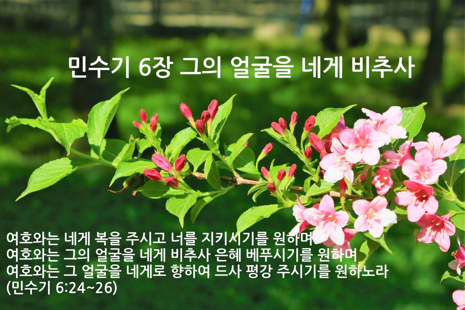 민수기 6장 그의 얼굴을 네게 비추사