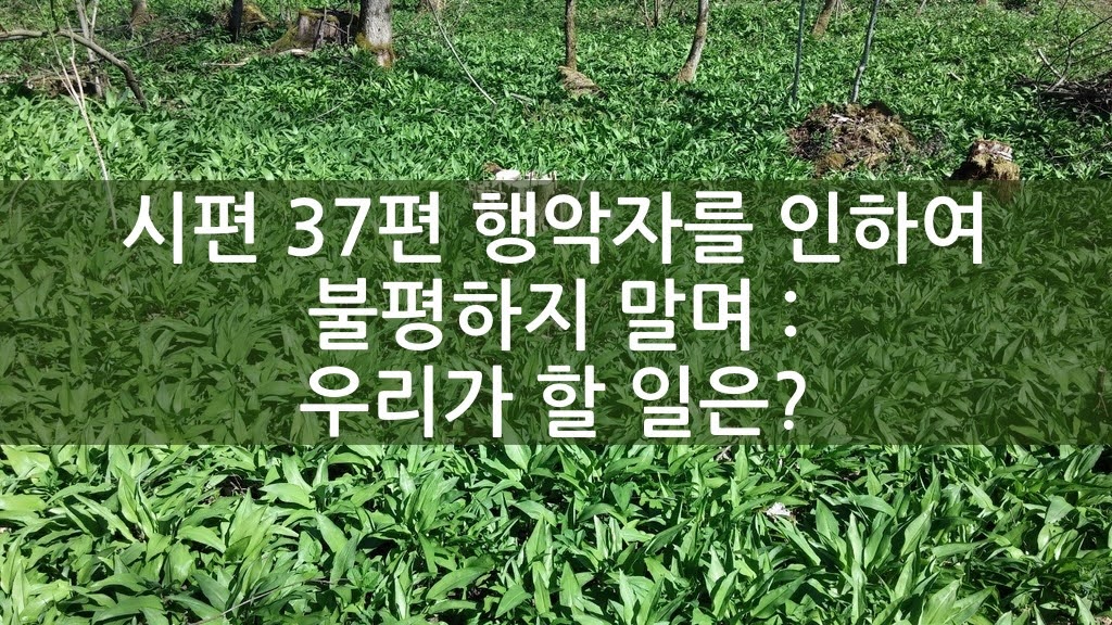 시편 37편 행악자를 인하여 불평하지 말며 : 우리가 할 일은?
