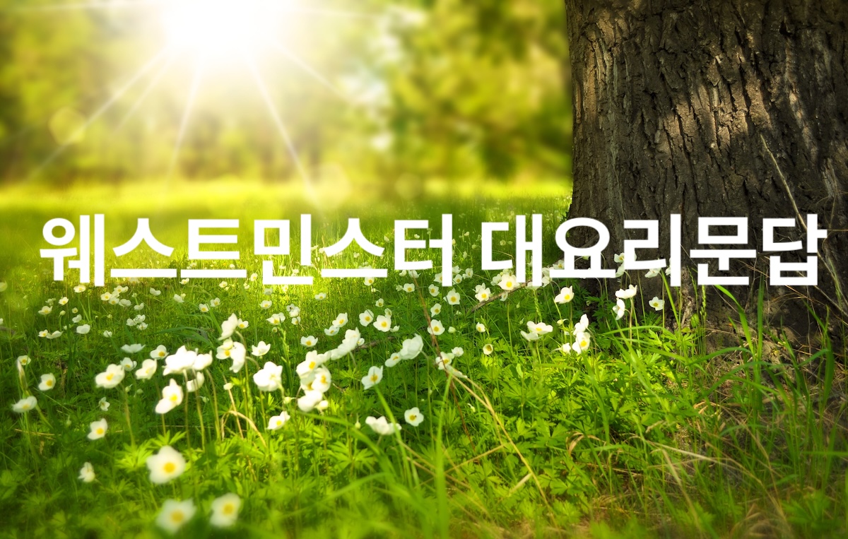 웨스트민스터 대요리문답 95문 해설 - 도덕법이 우리에게 주는 3가지 유익